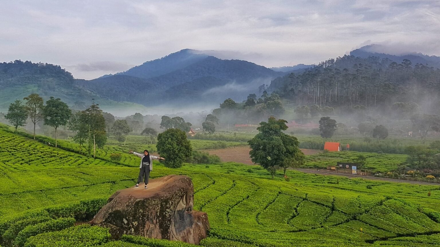 Perkebunan Teh Rancabali