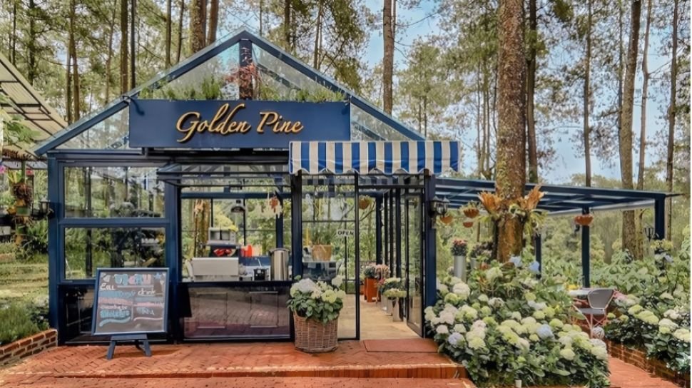 Golden Pine